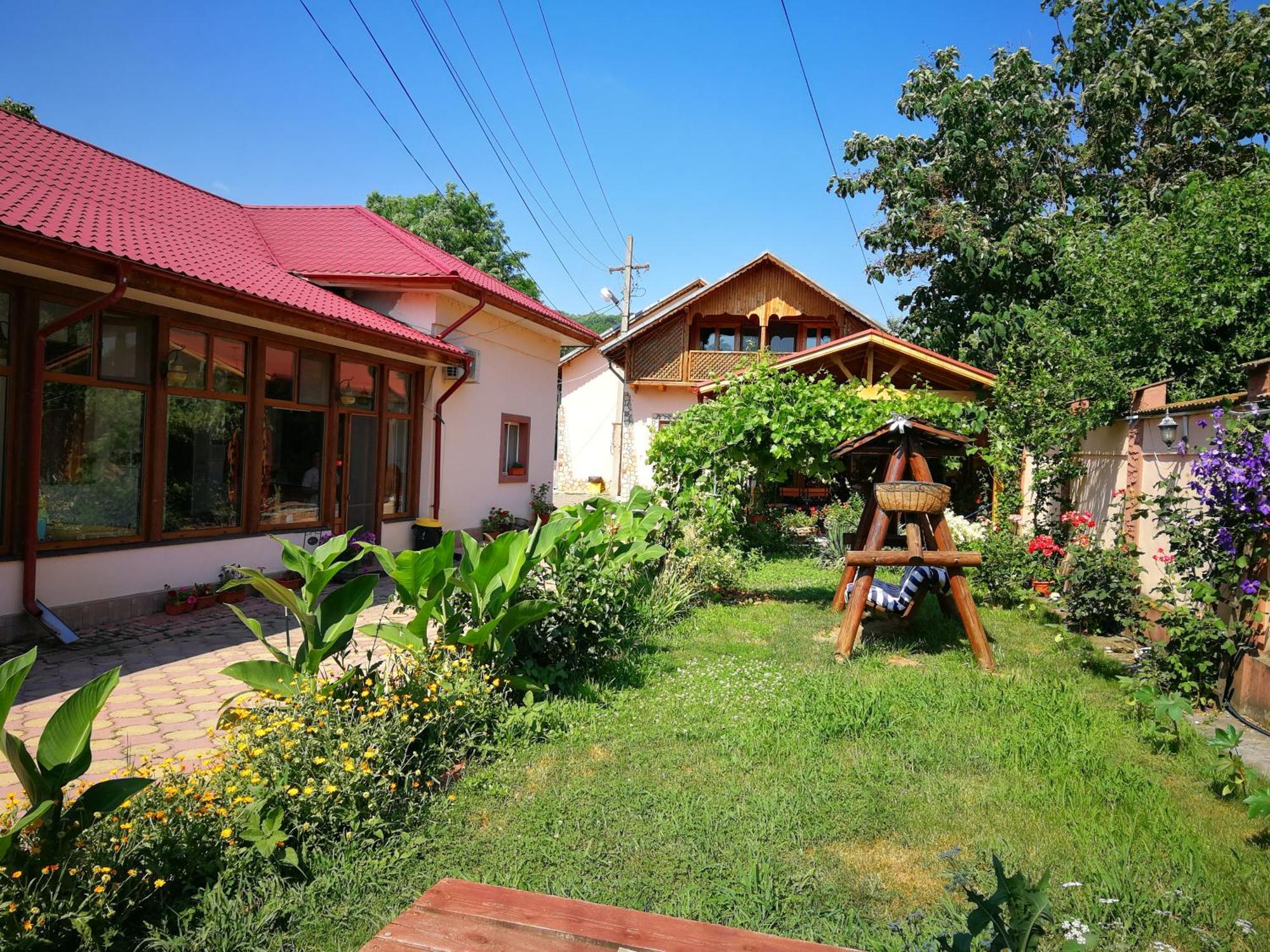 Vila Speranta Pleşcoi Exterior foto