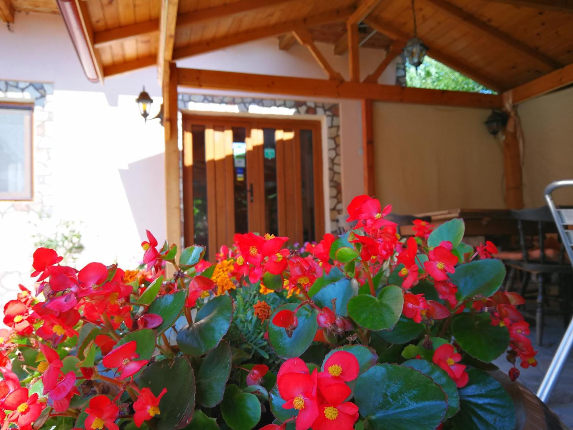 Vila Speranta Pleşcoi Exterior foto